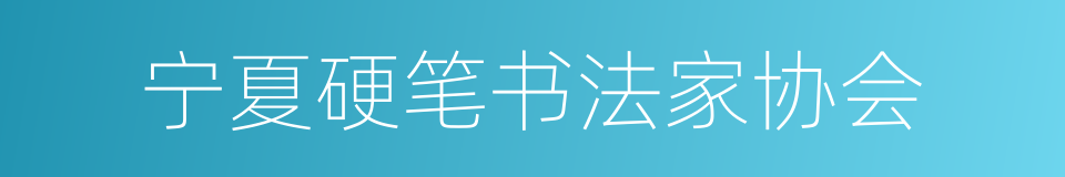 宁夏硬笔书法家协会的同义词