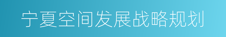 宁夏空间发展战略规划的同义词