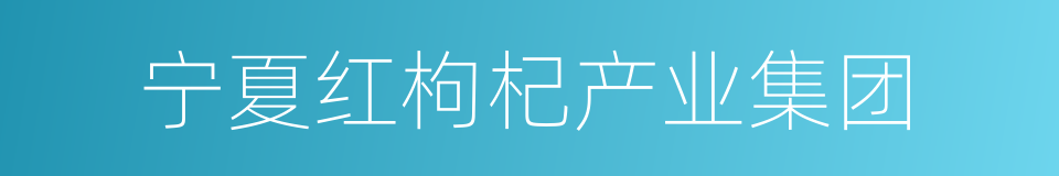 宁夏红枸杞产业集团的同义词