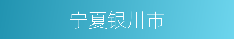 宁夏银川市的同义词