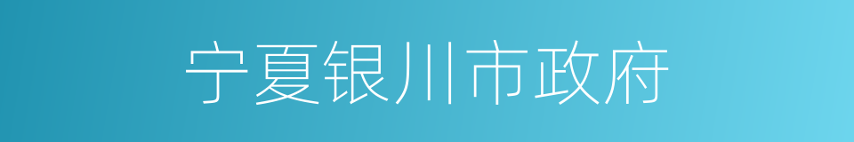 宁夏银川市政府的同义词