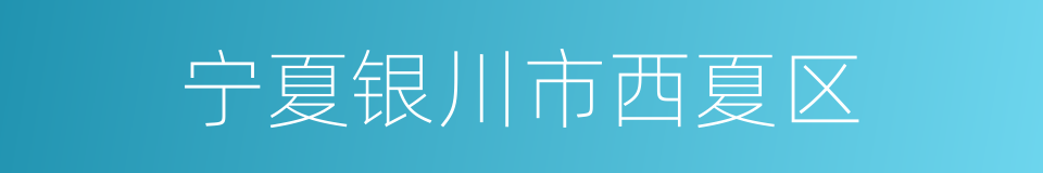 宁夏银川市西夏区的同义词