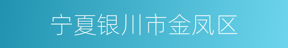 宁夏银川市金凤区的同义词