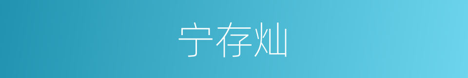 宁存灿的同义词
