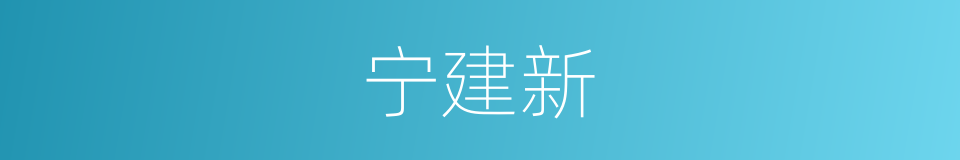 宁建新的同义词