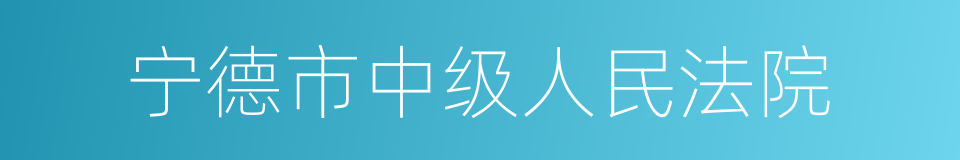 宁德市中级人民法院的同义词