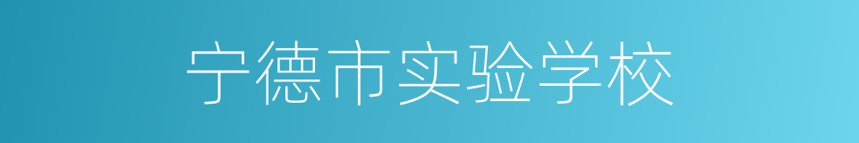 宁德市实验学校的同义词