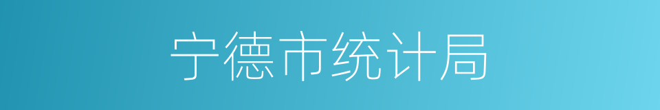 宁德市统计局的同义词