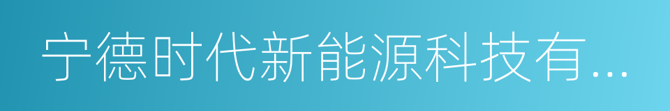 宁德时代新能源科技有限公司的同义词