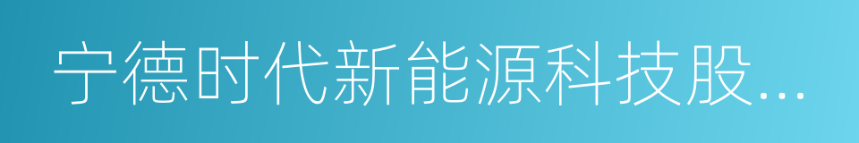 宁德时代新能源科技股份有限公司的同义词