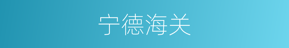 宁德海关的同义词