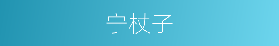 宁杖子的同义词