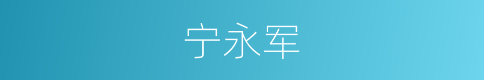 宁永军的同义词