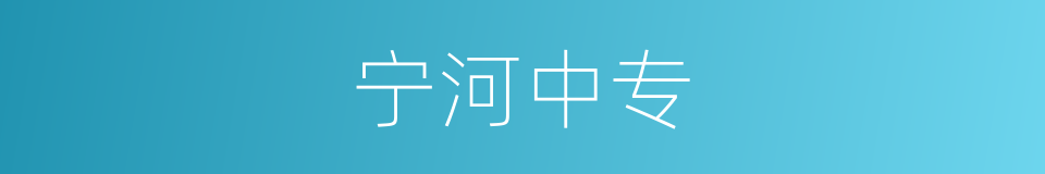 宁河中专的同义词
