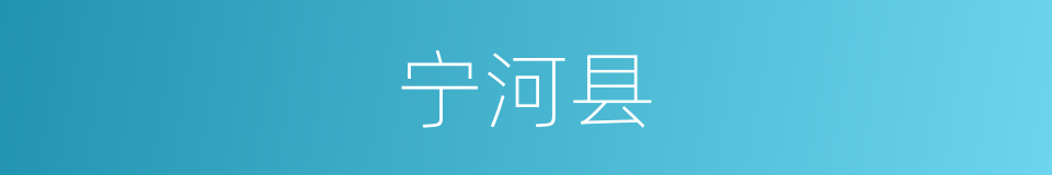 宁河县的同义词