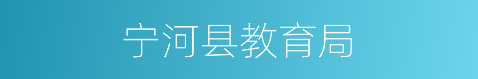 宁河县教育局的同义词