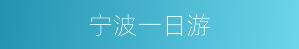 宁波一日游的同义词