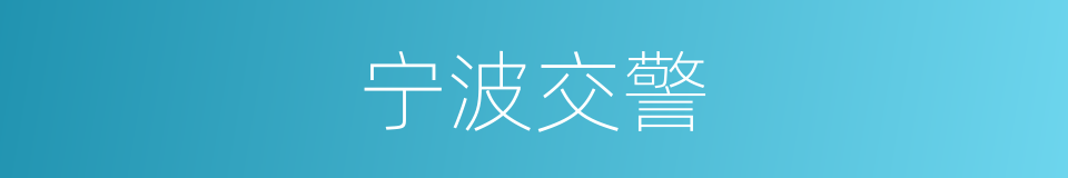 宁波交警的同义词