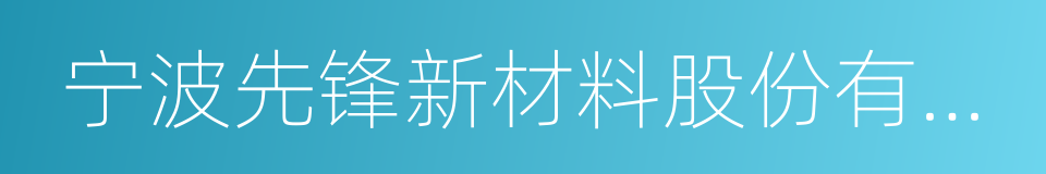 宁波先锋新材料股份有限公司的同义词