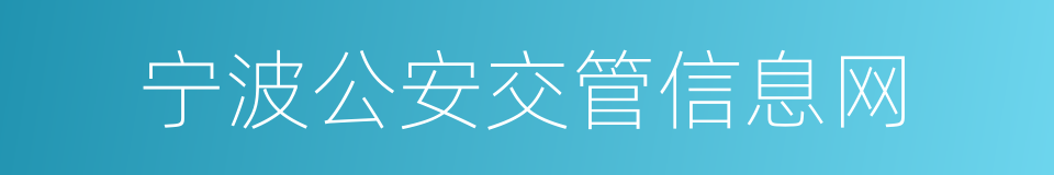 宁波公安交管信息网的同义词