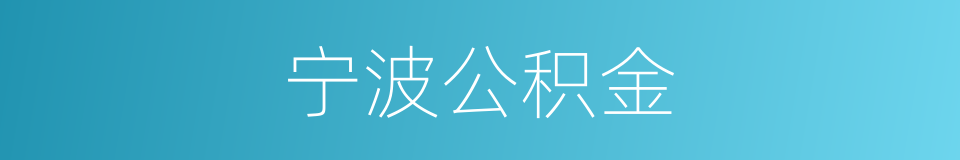 宁波公积金的同义词