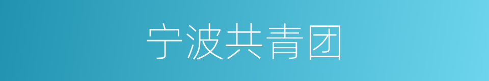 宁波共青团的同义词