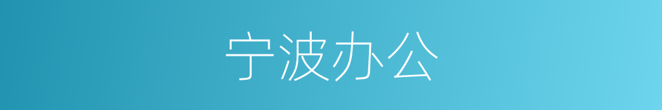 宁波办公的同义词