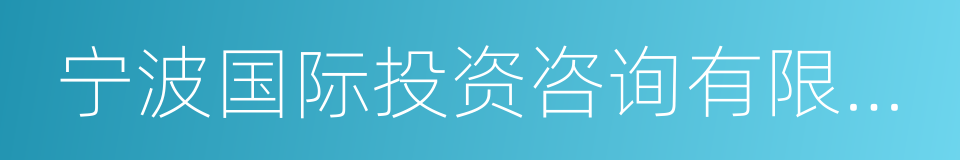 宁波国际投资咨询有限公司的同义词