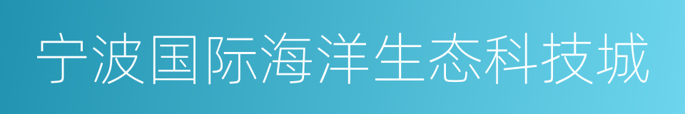 宁波国际海洋生态科技城的同义词