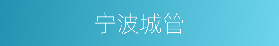 宁波城管的同义词