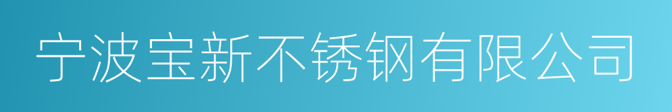 宁波宝新不锈钢有限公司的同义词