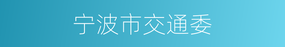 宁波市交通委的同义词