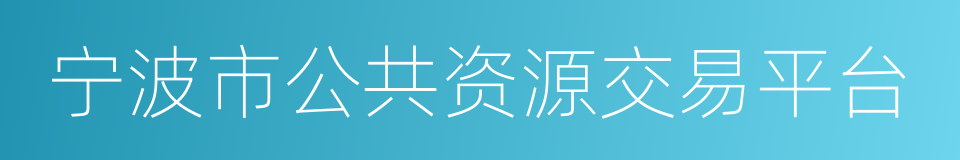 宁波市公共资源交易平台的同义词