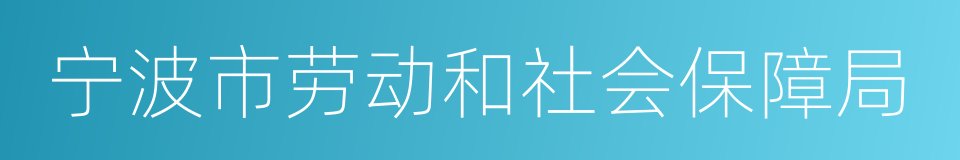 宁波市劳动和社会保障局的同义词