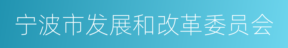 宁波市发展和改革委员会的同义词