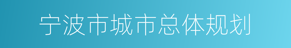 宁波市城市总体规划的同义词