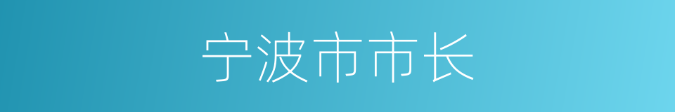 宁波市市长的同义词
