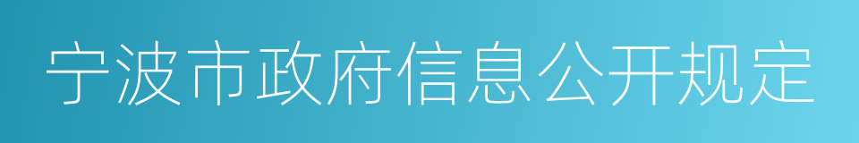 宁波市政府信息公开规定的意思