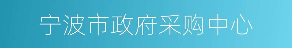 宁波市政府采购中心的同义词