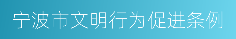 宁波市文明行为促进条例的同义词