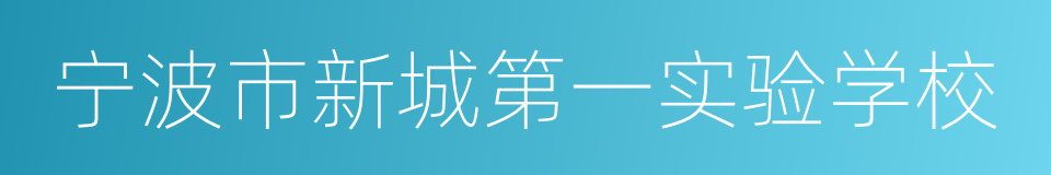 宁波市新城第一实验学校的同义词