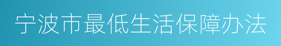 宁波市最低生活保障办法的同义词