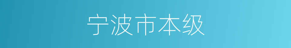 宁波市本级的同义词