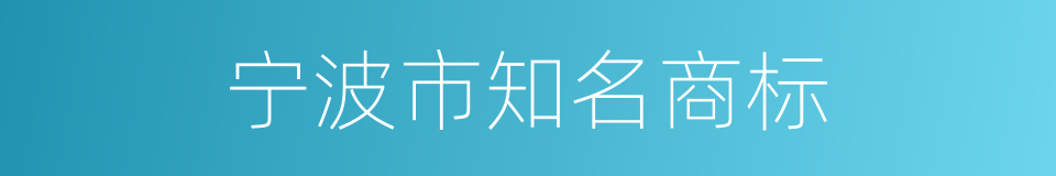 宁波市知名商标的同义词