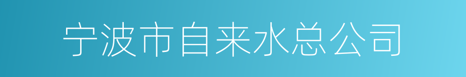 宁波市自来水总公司的同义词