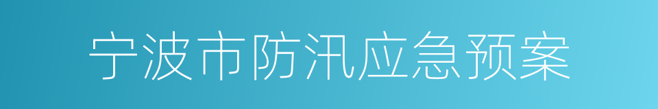 宁波市防汛应急预案的同义词