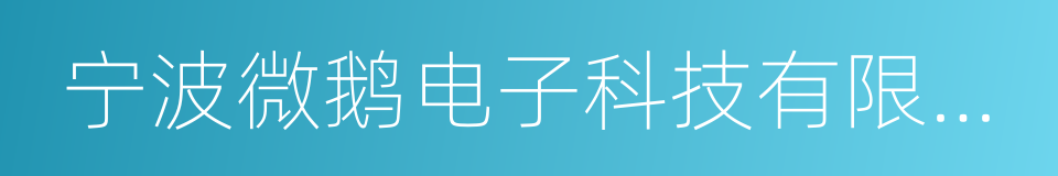 宁波微鹅电子科技有限公司的同义词