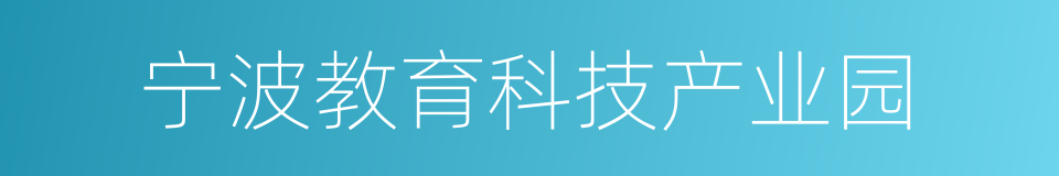 宁波教育科技产业园的同义词