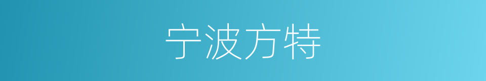 宁波方特的同义词