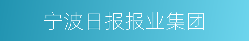 宁波日报报业集团的同义词